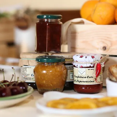 Tancredi Bed & Breakfast Caselle in Pittari